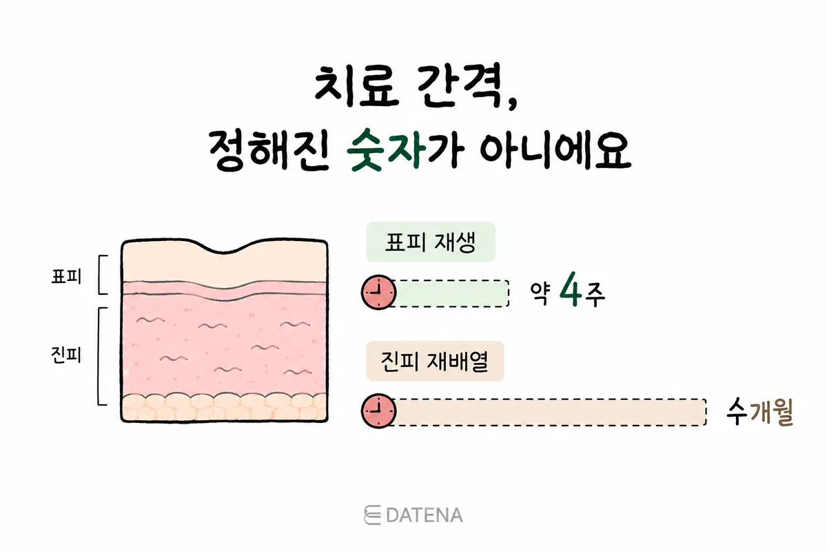 표피 재생 약 4주와 진피 콜라겐 재배열 수개월을 비교한 치료 간격 그림
