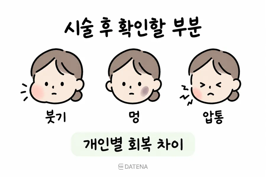 서브시전 후 살펴볼 붓기·멍·압통을 얼굴 그림으로 나타낸 안내 이미지